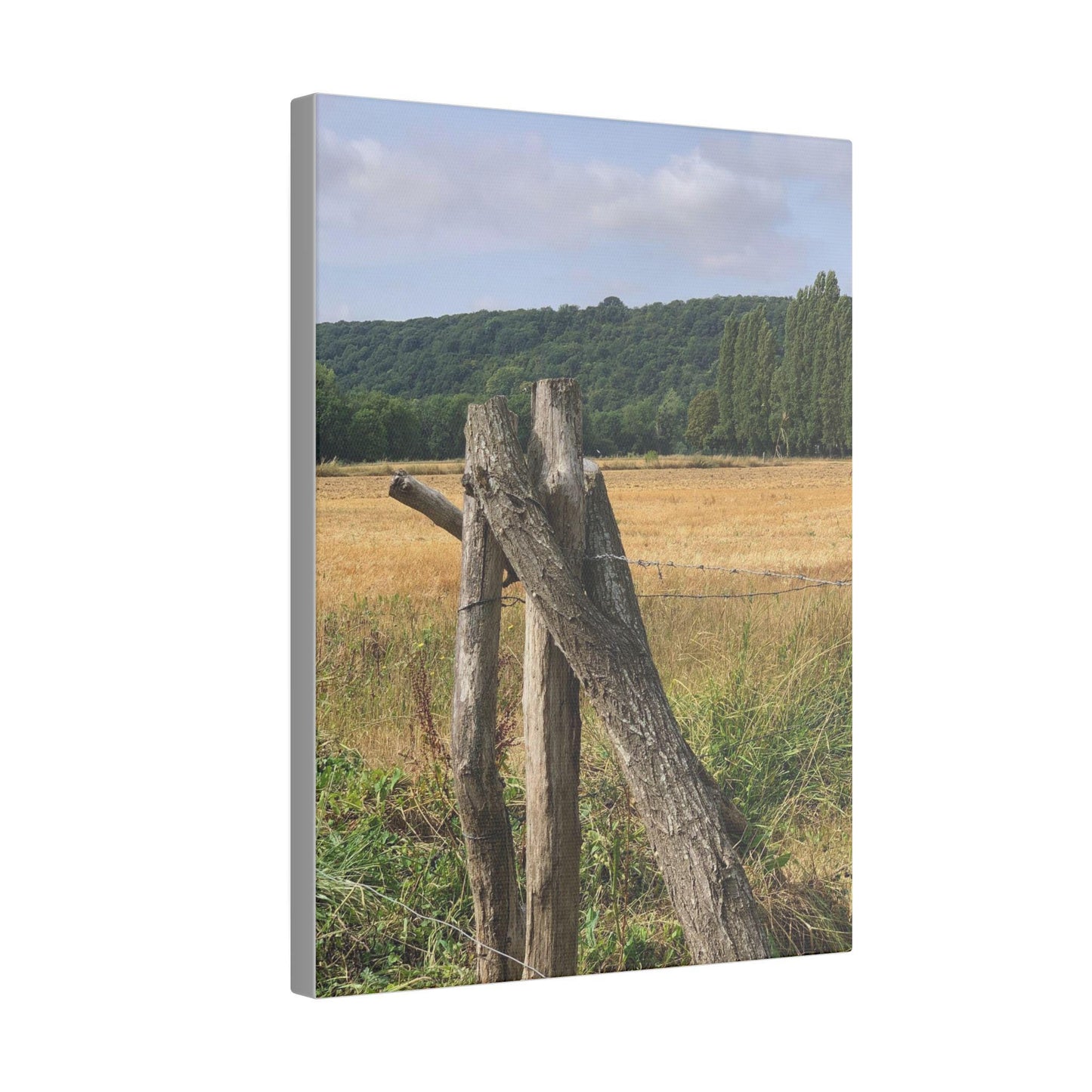 Matte Canvas, Stretched, 0.75"